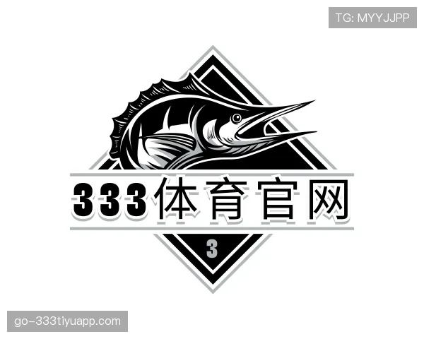 发现333体育
